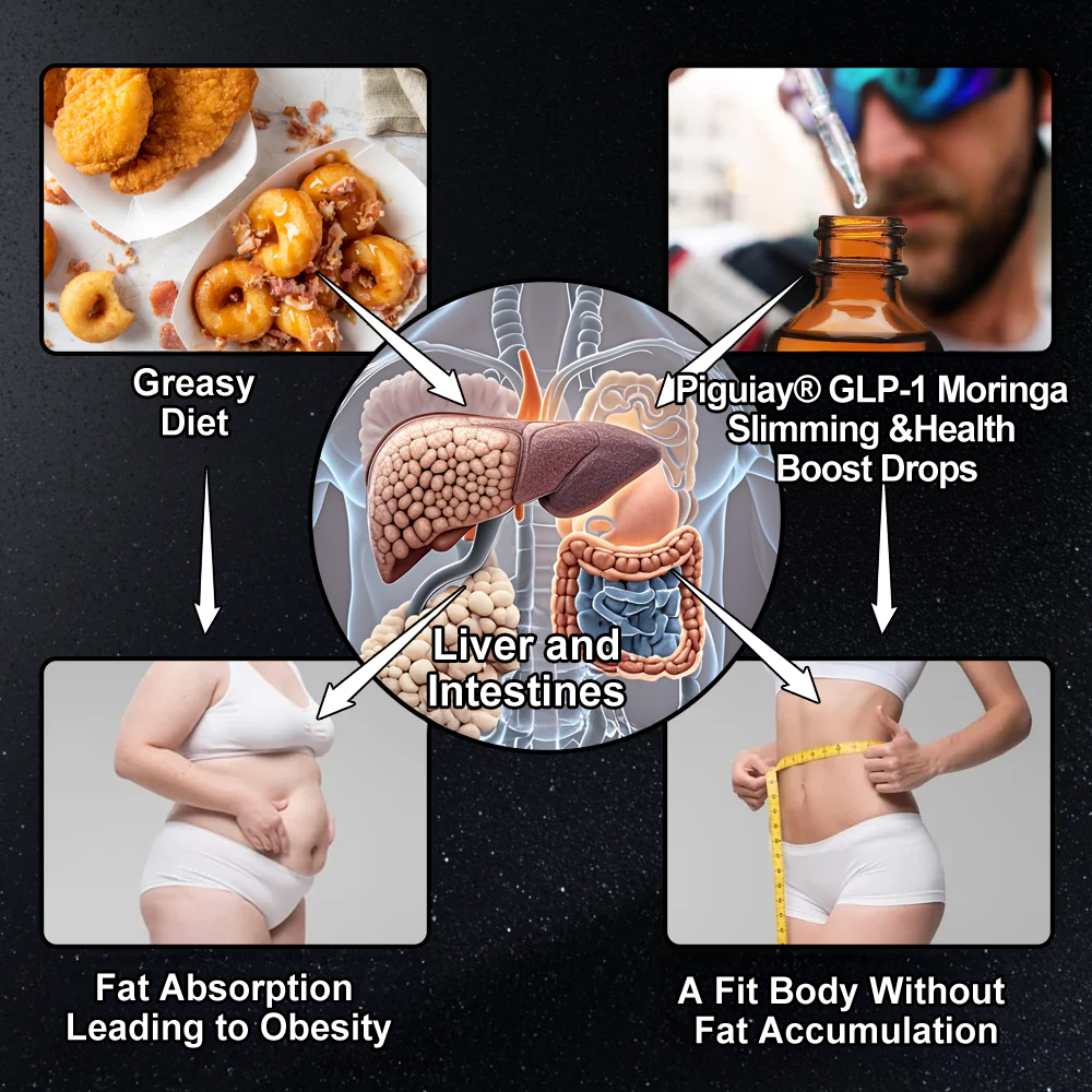 WarmFamily® 𝗚𝗟𝗣-𝟭 Slimming & Health Boost Drops | Food-grade fat burner🔥